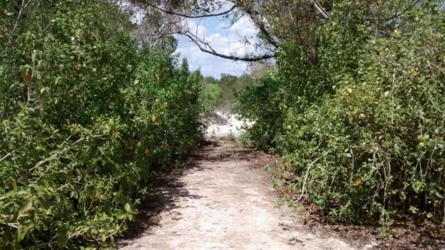 Caminos a la naturaleza