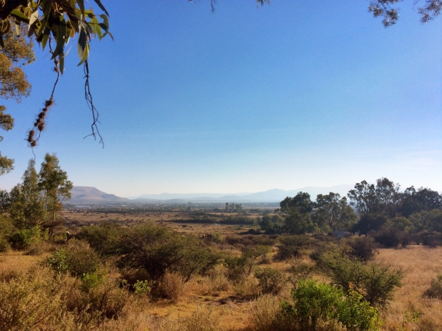 Disfruta de la naturaleza