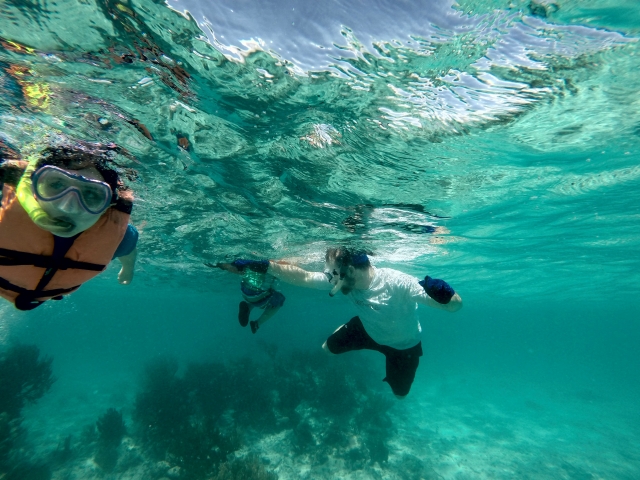 snorkeling