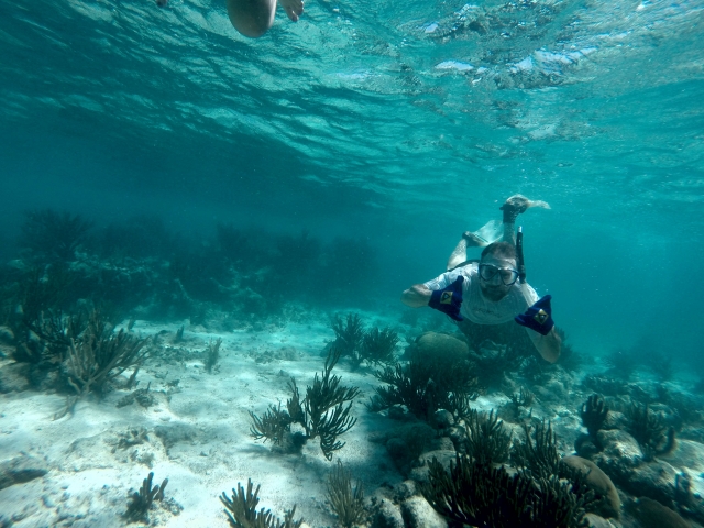 coral reef snorkeling
