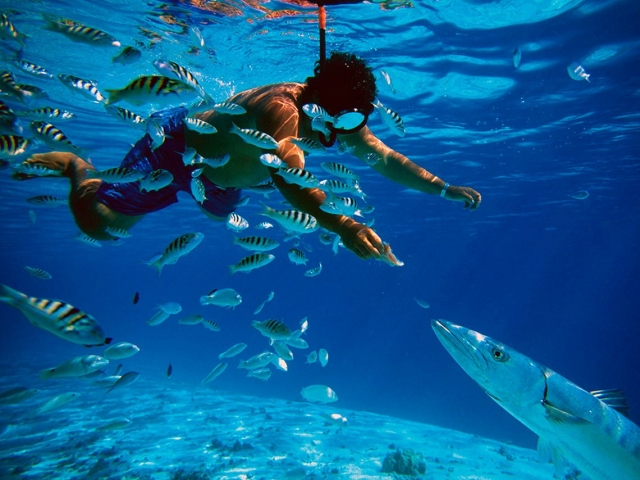 Interactuando con el exterior