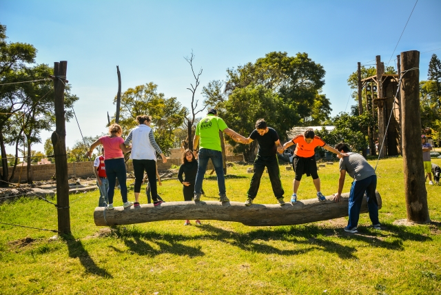 Actividades Team Building