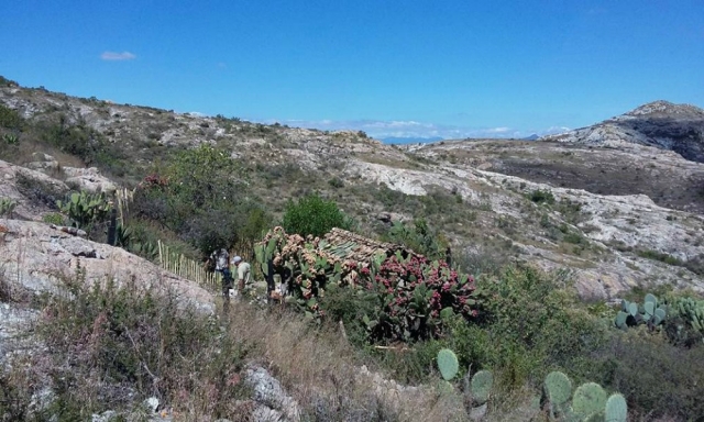 Degustando bebida de los Dioses