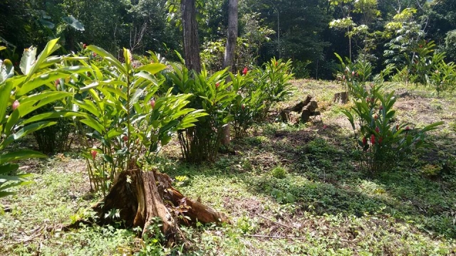 Maravillas de la naturaleza
