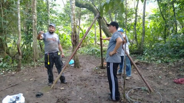 pasando por el bosque