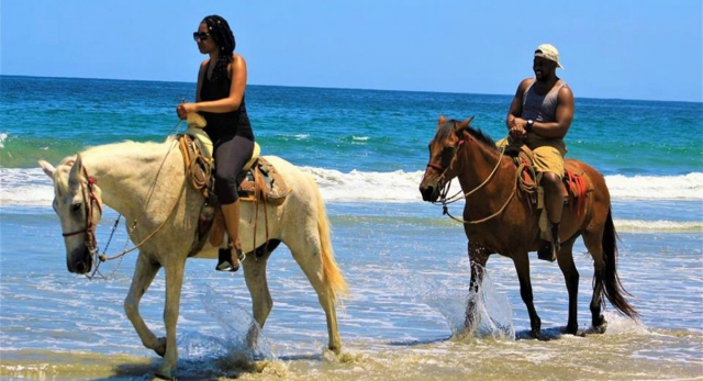 Visita guiada de caballos