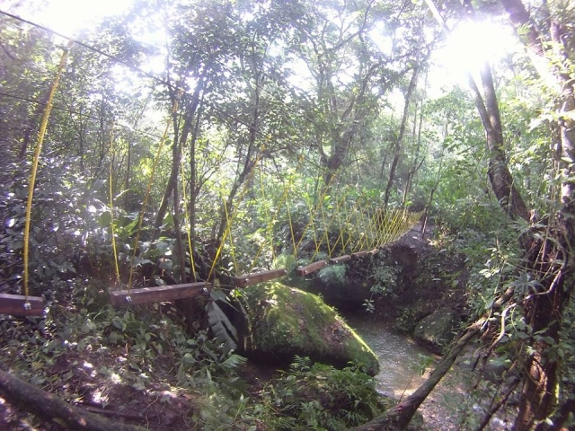 puente colgante lejos