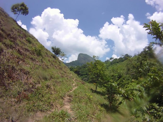 caminos de naturaleza