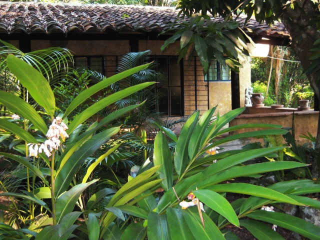 rodeados de naturaleza