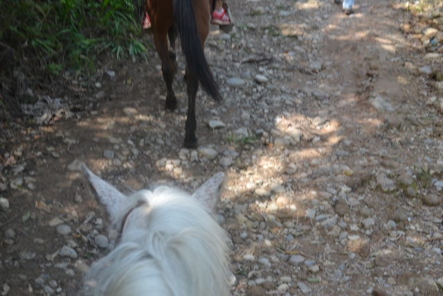 rutas a caballo en Puebla