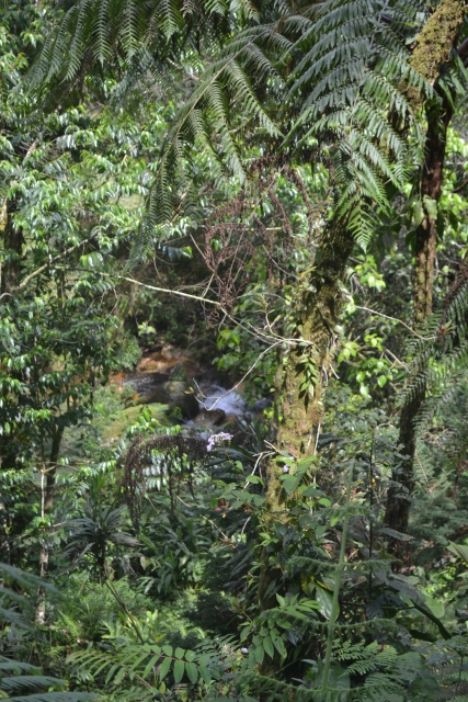 ecoparques en Puebla