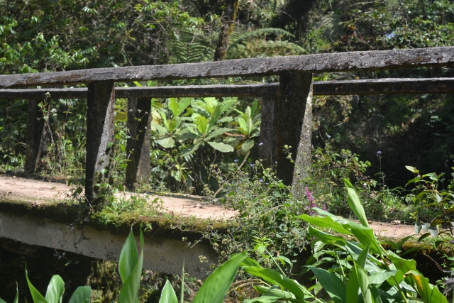 ecoparques en México