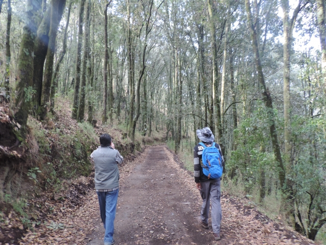 caminatas guiadas por El Oro