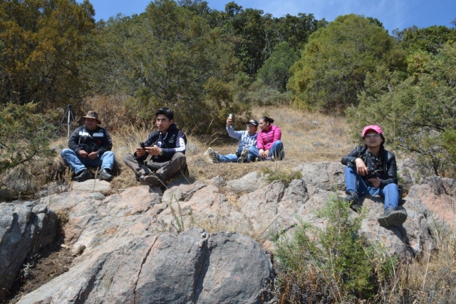 paseos en familia al bosque