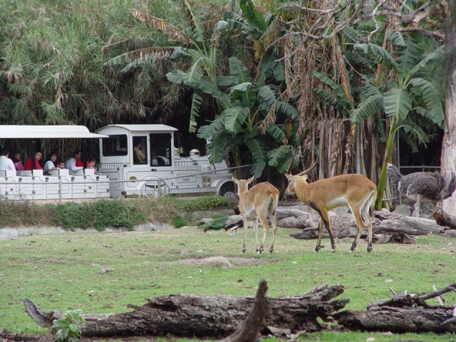 Campamentos llenos de aventura