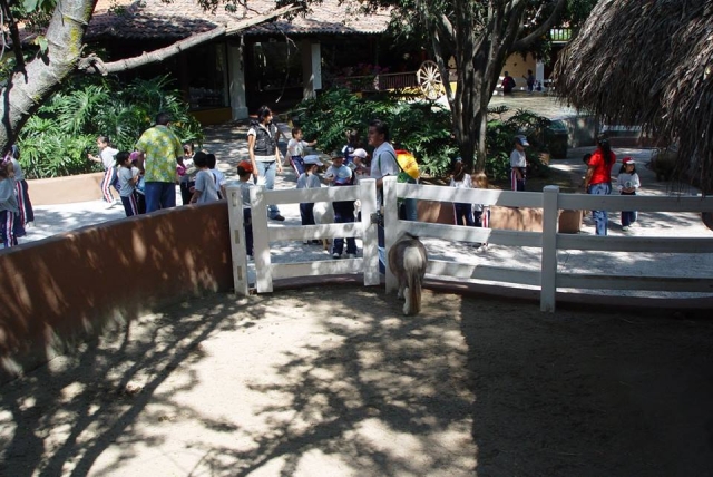 El campamento perfecto para los amantes de los animales