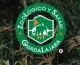 Zoológico Guadalajara 
