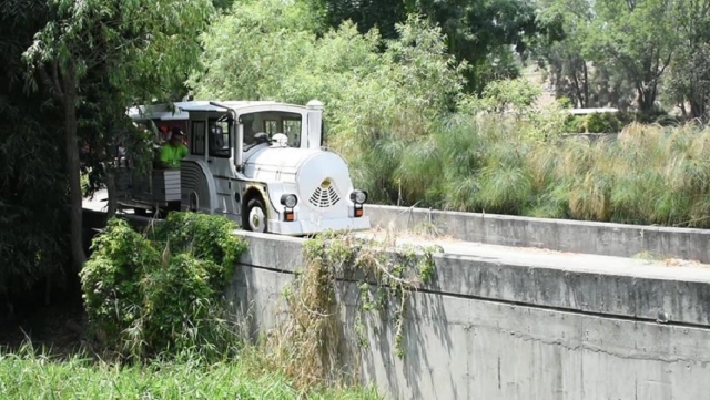 Nuestro safari de acerca a Africa