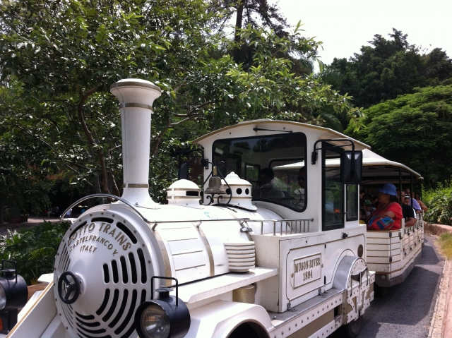 súbete al tren safari