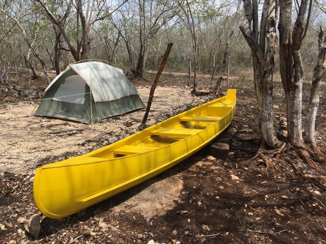 kayak 