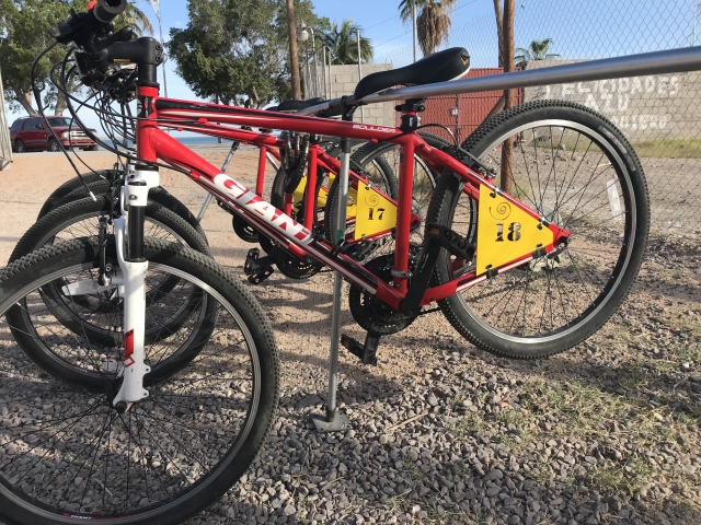 Bicicletas rodada 26