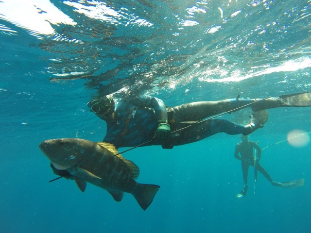 Pesca 