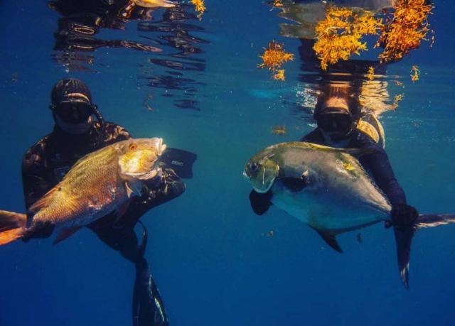 Pesca submarina