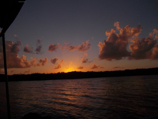 visita guiada privado