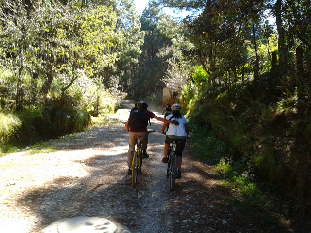 visitas guiadas en bici