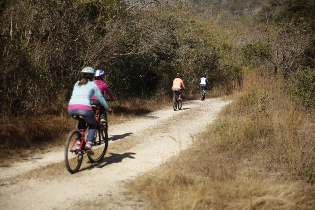 paseando en montañas