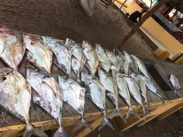 pescas