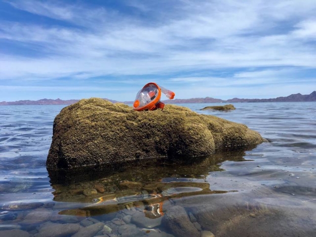 31946948 429572684154056 8446888438463987712 n