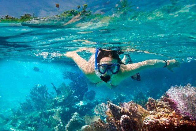 snorkel
