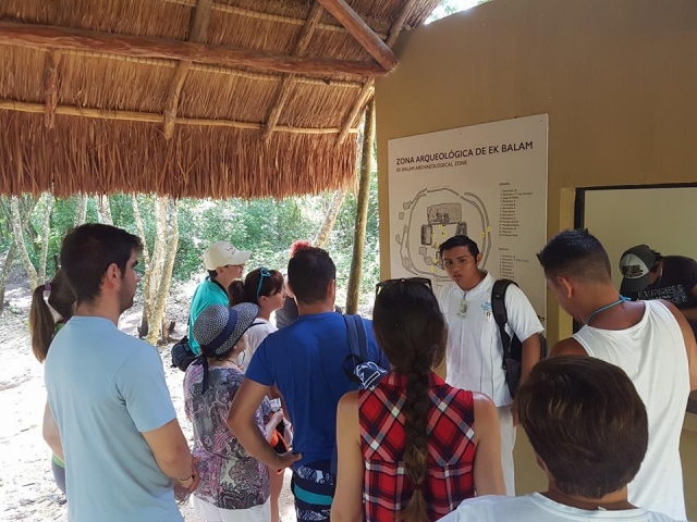 equipo de expertos