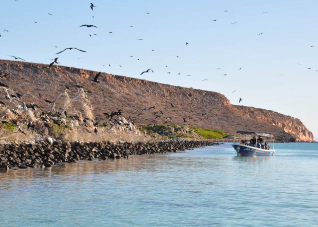 Avistamiento de aves