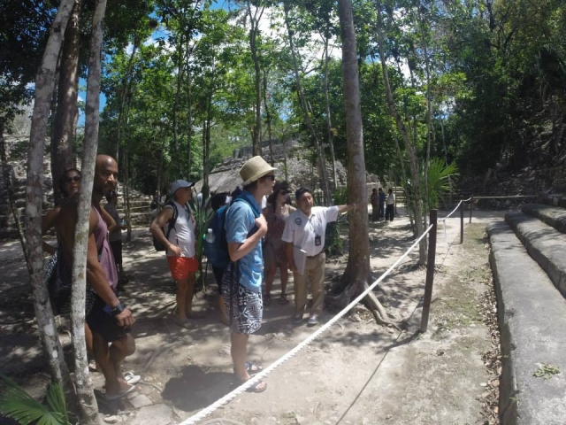 Guias siempre disponibles