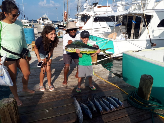 Mahi Mahi