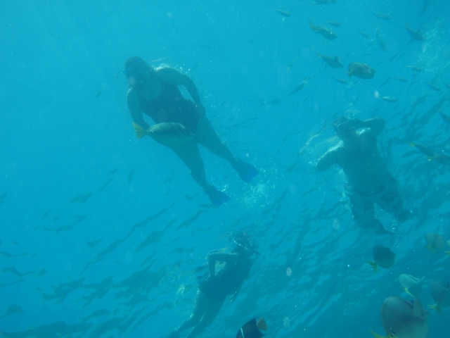 Practica Snorkel