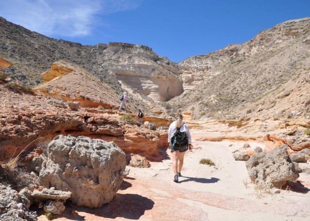 Paseos por el desierto