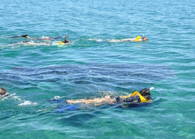 Snorkel en Cabo San Lucas