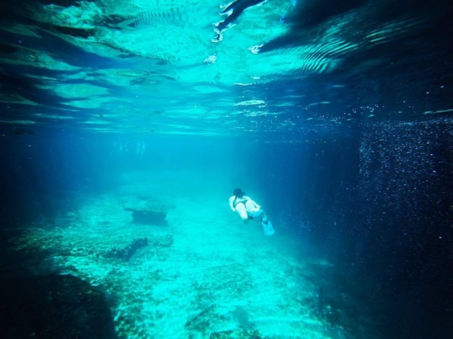 Conoce el mundo marino