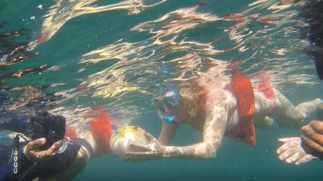 snorkel en Vallarta