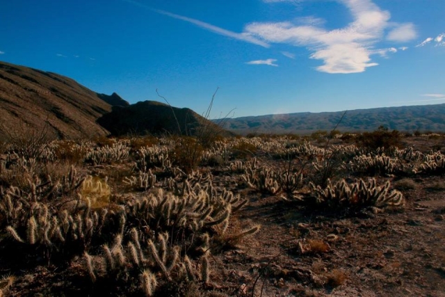 Disfruta el pueblo magico