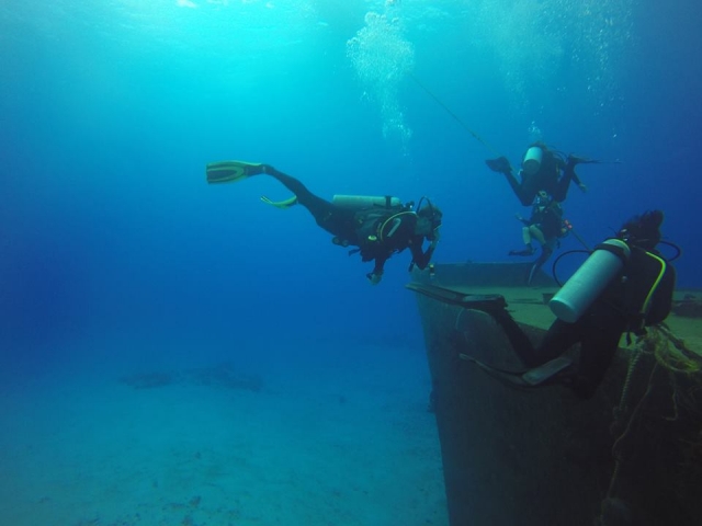 Visitas guiadas de diversion