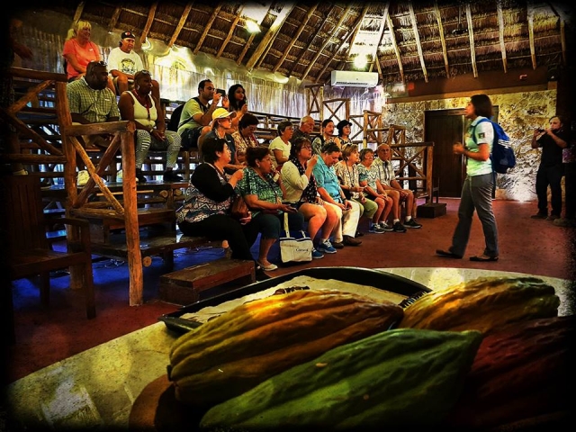 Conferencias sobre tu proceso