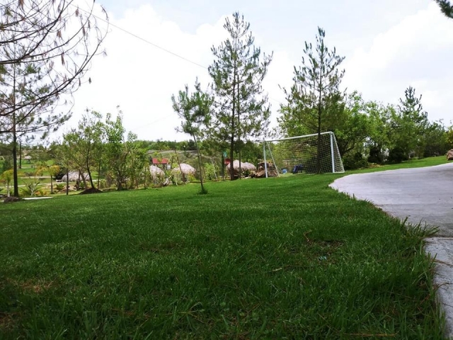 Canchas de futbol