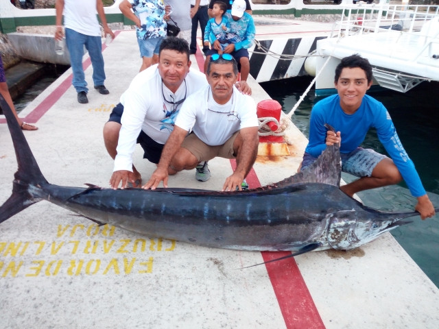 Pescadoternera en el puerto