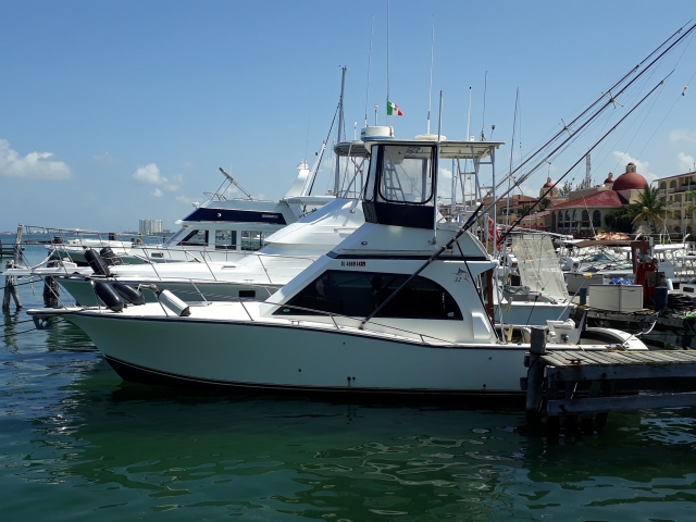 Bote de pesca con dobte motor