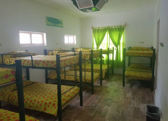 Habitacion verde del alojamiento