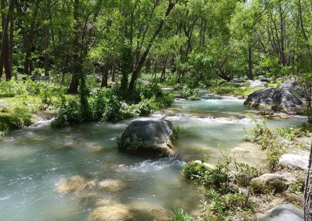 Rio en los alrededoternera
